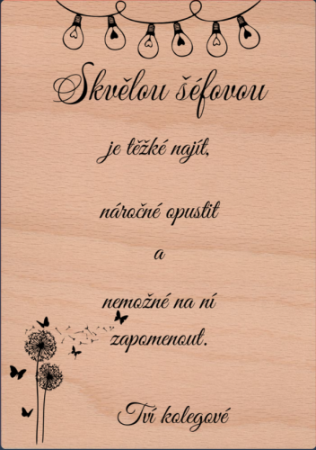 Skvělá šéfová A5