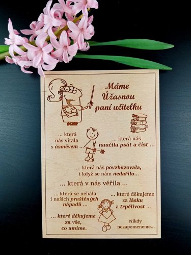 Úžasná paní učitelka