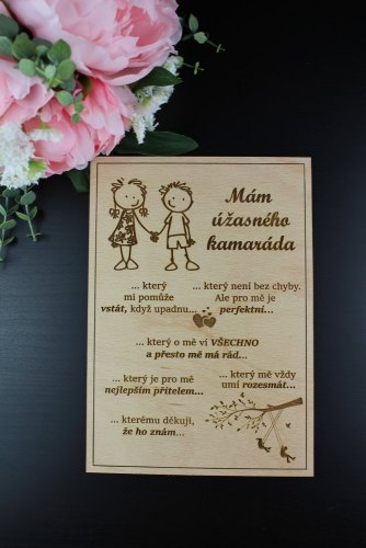 Mám úžasného kamaráda