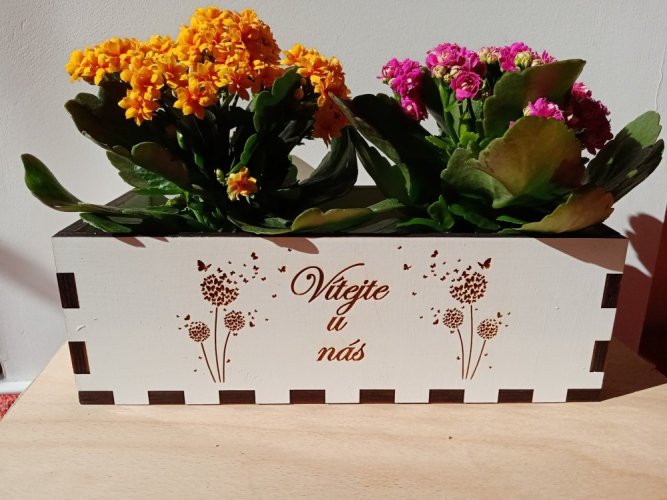 Dřevěný truhlík - Vítejte u nás s pampeliškami