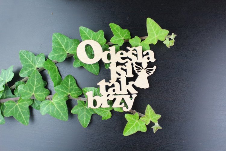 Odešla jsi tak brzy