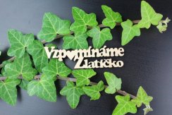 Vzpomínáme zlatíčko