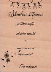 Skvělá šéfová A5