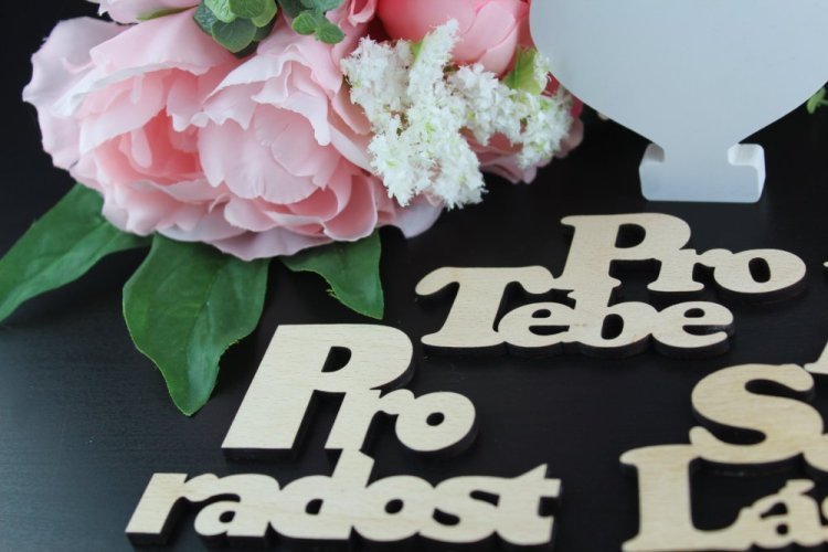 Pro Tebe