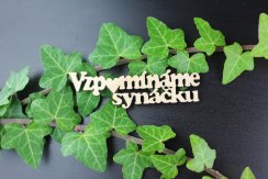 Vzpomínáme synáčku