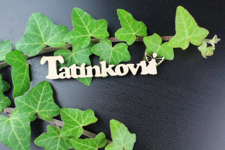 Tatínkovi s andílkem
