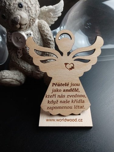 Andělíček pro přátelé